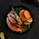 canagan-dog-fresh-bowl-square-salmon.jpeg
