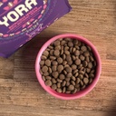 yora-cat-01.jpeg